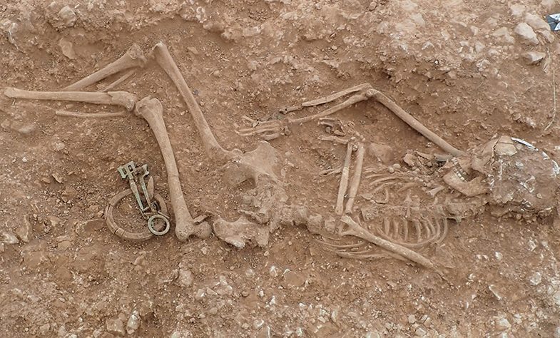 Esqueleto descubierto en Lincolnshire