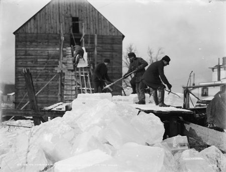 Ice harvesting