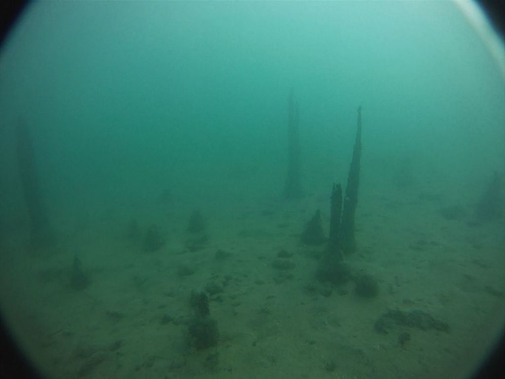 Remains of underwater Dwellings, Switzerland 