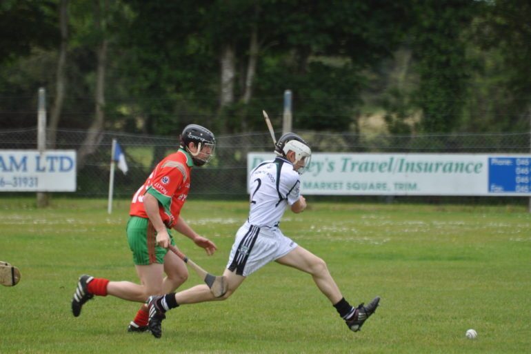 Hurling has been included in the list of Irish intangible heritage
