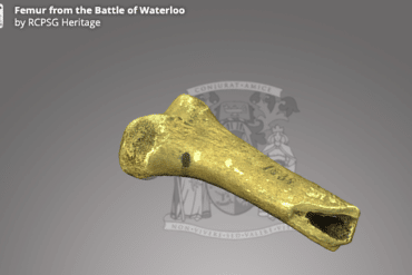 Dijbeen uit de slag bij Waterloo