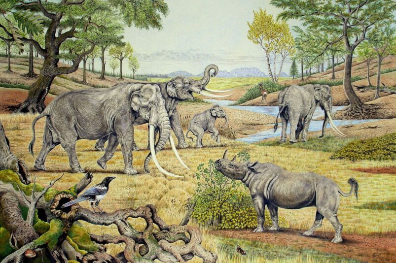 Southern Germany around 120.000 years ago. Image: Elke Gröning