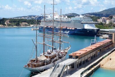 Cruiseschip in de haven van Palma. Bron: Rene Cortin via Wikimedia CC BY-SA 4.0