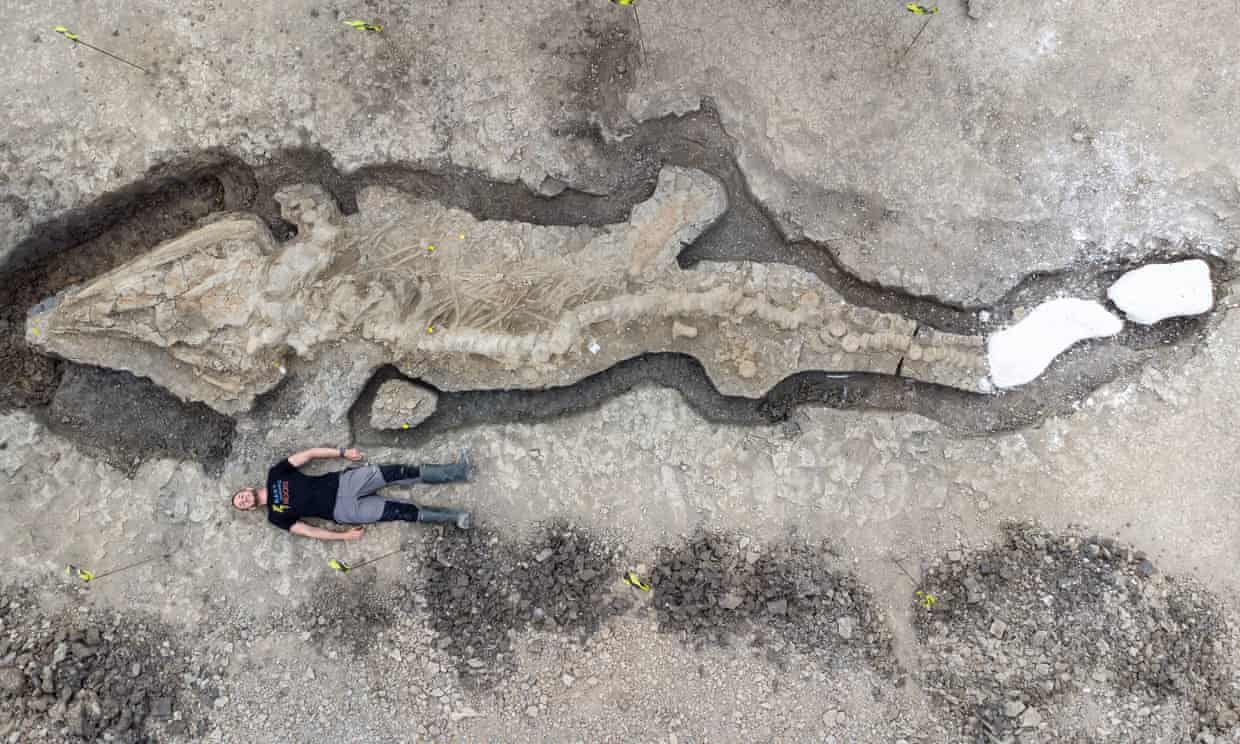 Il fossile di un ittiosauro. Immagine: Acqua Anglicana